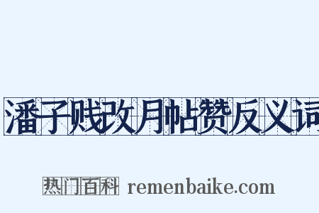 潘子贱改月帖赞反义词是什么意思的图片